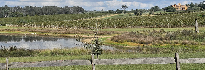 Wine Tours Hunter Valley